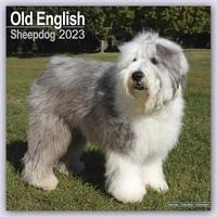 Old English Sheepdog - Bobtails 2023 - 16-Monatskalender