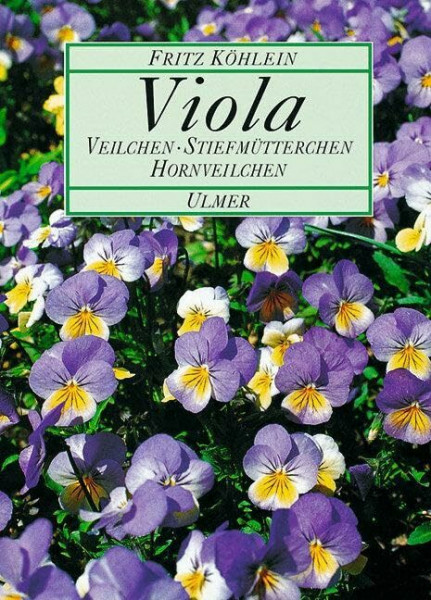 Viola: Veilchen, Stiefmütterchen, Hornveilchen