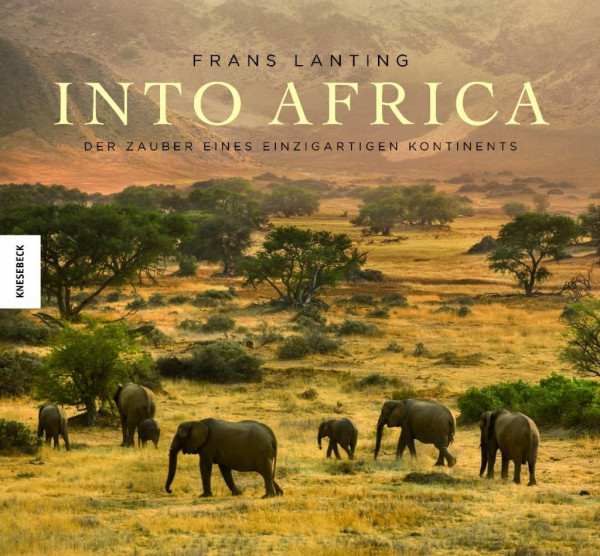 Into Africa