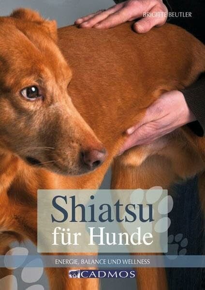 Shiatsu für Hunde: Energie und Balance