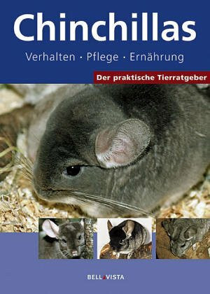 Chinchillas: Verhalten, Pflege, Ernährung