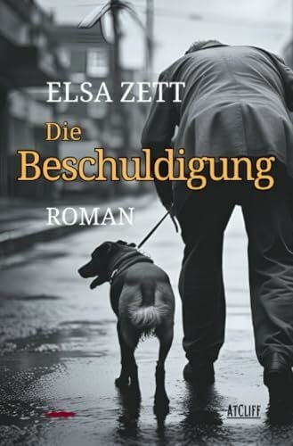 Die Beschuldigung: Roman