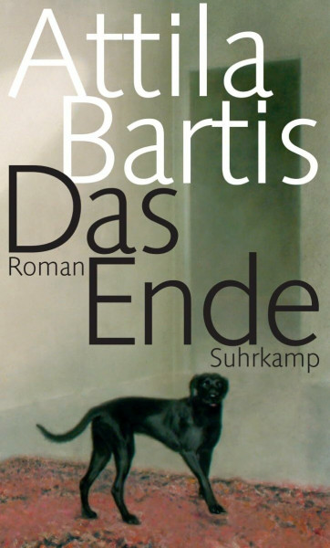 Das Ende: Roman
