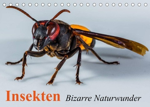 Insekten . Bizarre Naturwunder (Tischkalender 2022 DIN A5 quer)