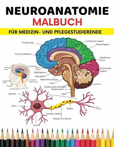 Neuroanatomie Malbuch Für Studierende der Medizin und Krankenpflege: Der einfache und effektivste Weg, Neuroanatomie für Studenten zu lernen