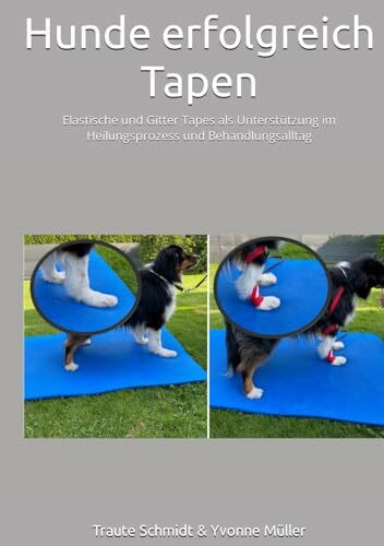 Hunde erfolgreich Tapen: Elastische und Gitter Tapes als Unterstützung im Heilungsprozess und Behandlungsalltag