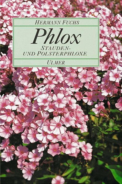 Phlox: Stauden- und Polsterphlox