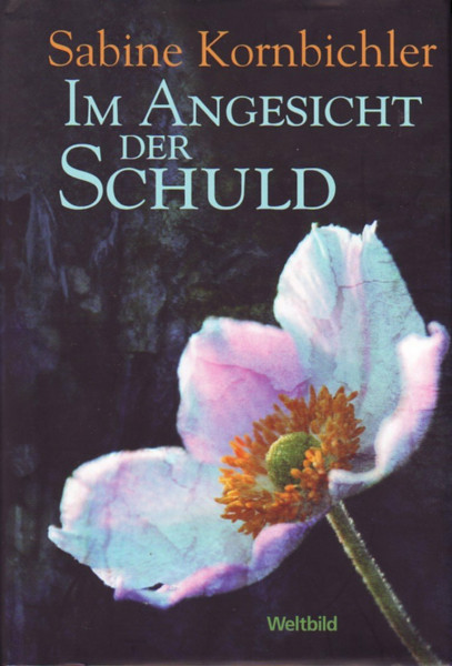 Im Angesicht der Schuld