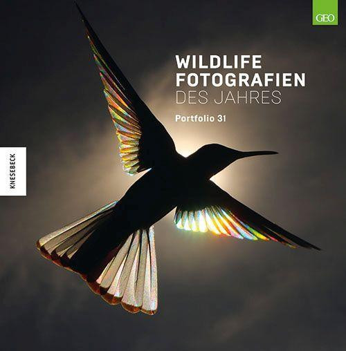 Wildlife Fotografien des Jahres - Portfolio 31