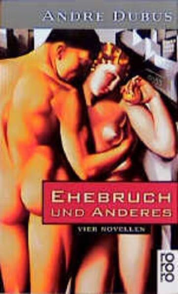 Ehebruch und anderes: Vier Novellen