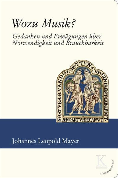 Wozu Musik?: Gedanken und Erwägungen über Notwendigkeit und Brauchbarkeit (Edition Konturen)