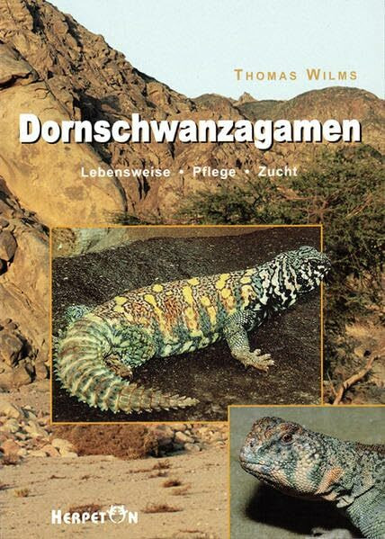 Dornschwanzagamen. Lebensweise. Pflege. Zucht.: Lebensweise, Pflege und Zucht