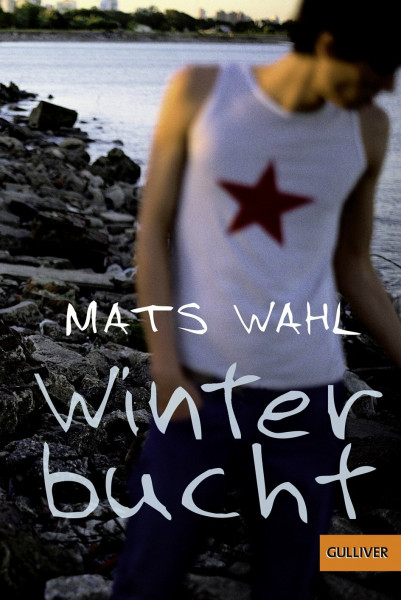 Winterbucht: Roman