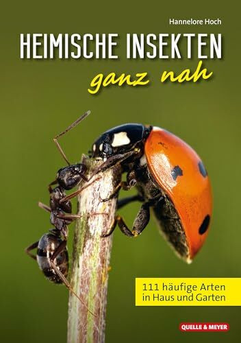 Heimische Insekten ganz nah: 111 häufige Arten in Haus und Garten