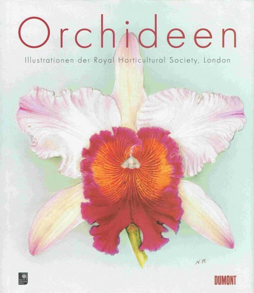 Orchideen