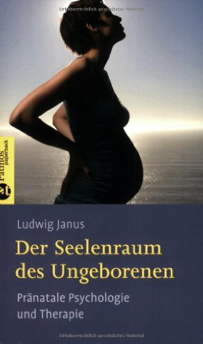 Seelenraum des Ungeborenen: Pränatale Psychologie und Therapie