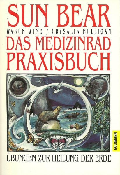 Das Medizinrad-Praxisbuch