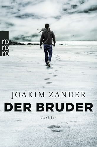 Der Bruder: Thriller aus Schweden (Klara Walldéen, Band 2)