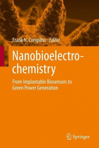 Nanobioelectrochemistry