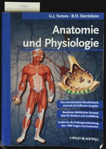 Anatomie und Physiologie