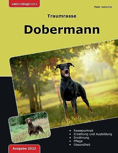 Traumrasse: Dobermann