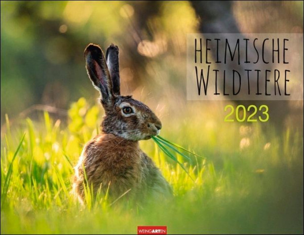 Heimische Wildtiere Kalender 2023