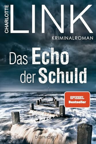 Das Echo der Schuld: Kriminalroman