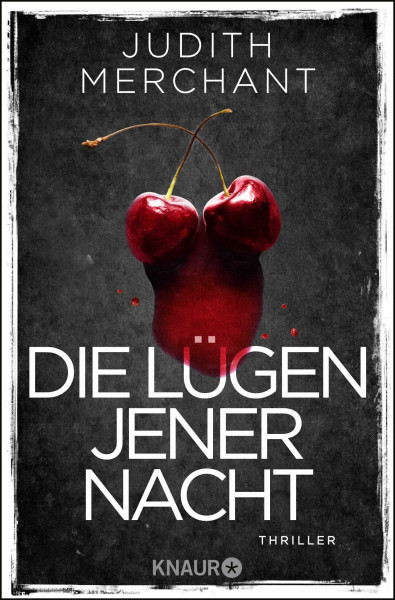 Die Lügen jener Nacht: Thriller