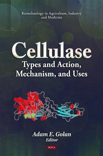Cellulase: Types and Action, Mechanism, and Uses: Types & Action, Mechanism, & Uses (Biotechnology in Agriculture, Industry and Medicine)