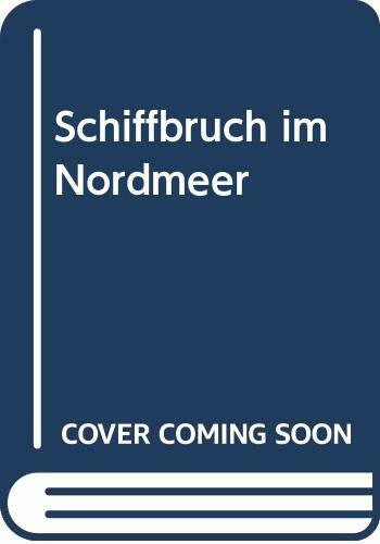 Schiffbruch im Nordmeer