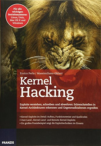 Kernel Hacking: Exploits verstehen, schreiben und abwehren: Schwachstellen in Kernel-Architekturen erkennen und Gegenmaßnahmen ergreifen