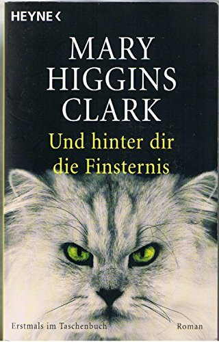 Und hinter dir die Finsternis: Roman