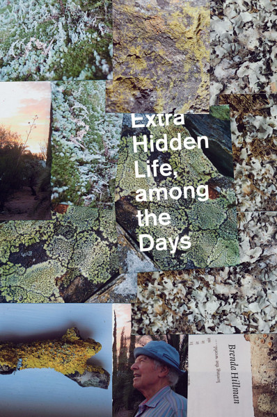 Extra Hidden Life, among the Days (Wesleyan Poetry)