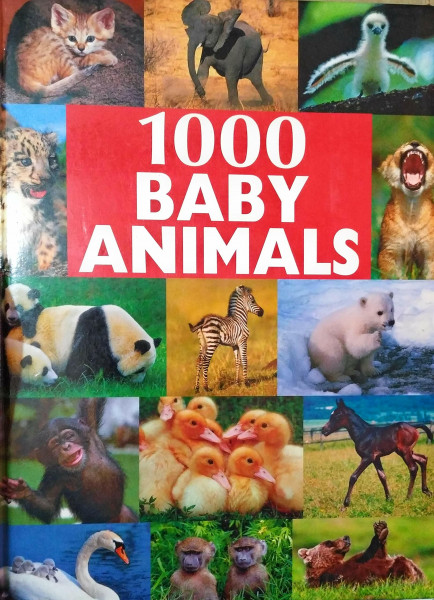 1000 Tierbabys