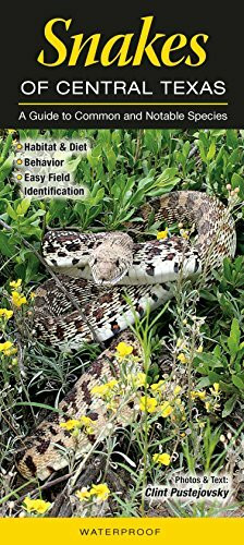 Snakes of Central Texas: A Guide to Common & Notable Species (Quick Reference Guides)