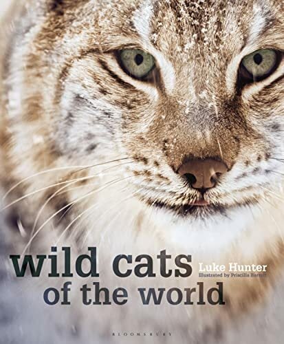 Wild Cats of the World Wild Cats of the World