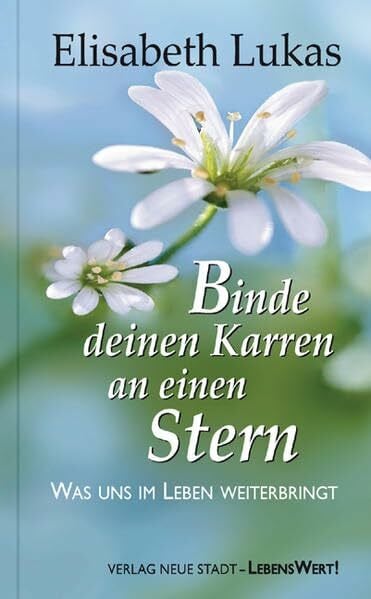 Binde deinen Karren an einen Stern: Was uns im Leben weiterbringt (LebensWert)