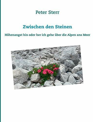 Zwischen den Steinen: Höhenangst hin oder her ich gehe über die Alpen ans Meer