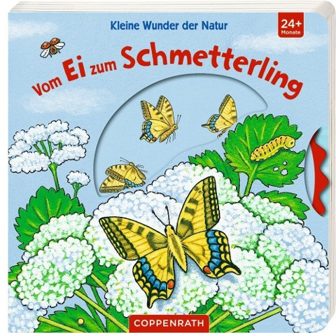 Kleine Wunder der Natur: Vom Ei zum Schmetterling