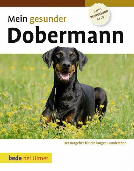 Mein gesunder Dobermann: Der Ratgeber für ein langes Hundeleben. Topfit, kerngesund, aktiv (Bede Mein gesunder Hund)