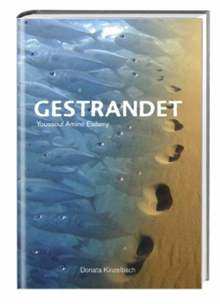 Gestrandet: Roman (Literatur aus dem Maghreb)