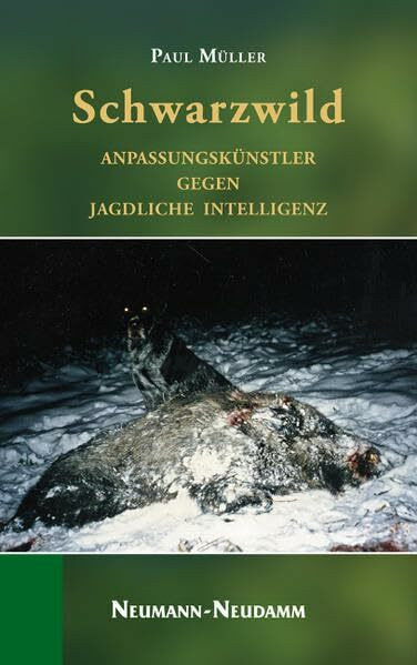 Schwarzwild: Anpassungskünstler gegen jagdliche Intelligenz