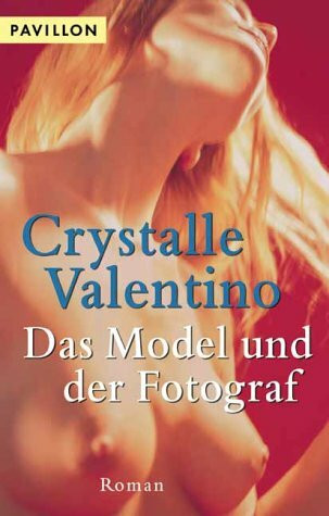 Das Model und der Fotograf: Roman