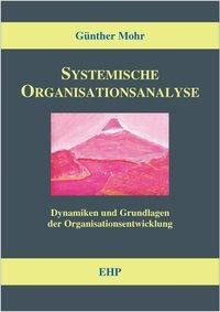 Systemische Organisationsanalyse