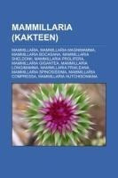 Mammillaria (Kakteen)