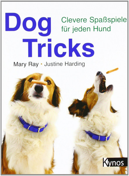 Dog Tricks: Clevere Spaßspiele für jeden Hund