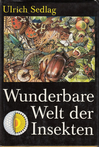 Wunderbare Welt der Insekten