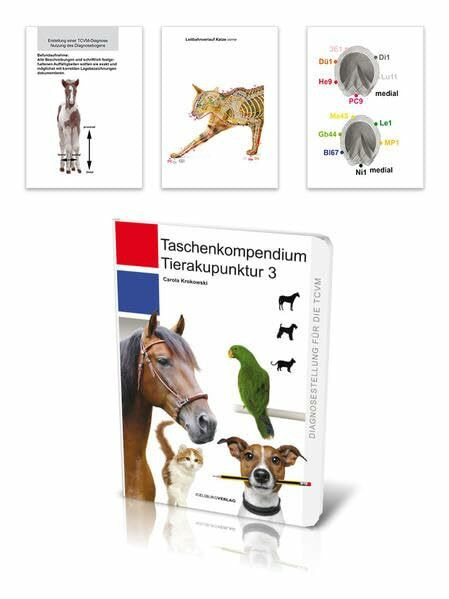Tierakupunktur Taschenkompendium 3: In 35 Schritten zur TCVM-Diagnosemit Erklärungen zu den Symptomen und ihren energetischen Klassifizierungen.