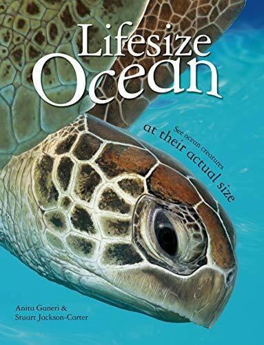 Lifesize: Ocean: See Ocean Creatures at Their Actual Size