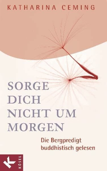 Sorge dich nicht um morgen: Die Bergpredigt buddhistisch gelesen